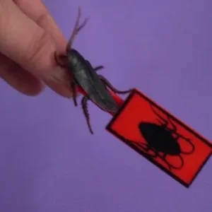 Jumping Cockroach
